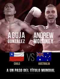 moloney-gonzalez-fight-poster-2019-03-22