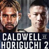 caldwell-horiguchi-2-fight-bellator-222-poster