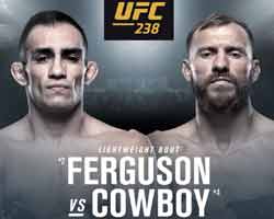 ferguson-cerrone-fight-ufc-238-poster