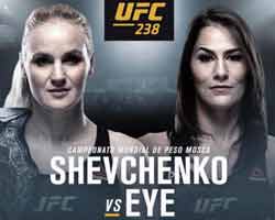 shevchenko-eye-fight-ufc-238-poster