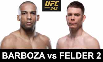 felder-barboza-2-fight-ufc-242-poster