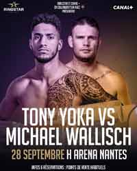 yoka-wallisch-fight-poster-2019-09-28