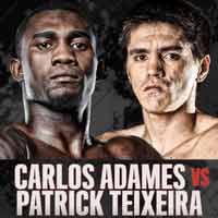 adames-teixeira-fight-poster-2019-11-30