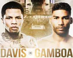 davis-gamboa-fight-poster-2019-12-28