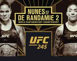 nunes-de-randamie-2-fight-ufc-245-poster