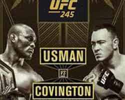 usman-covington-fight-ufc-245-poster