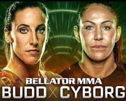 budd-cyborg-justino-fight-bellator-238-poster