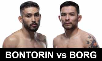 borg-bontorin-fight-ufc-fight-night-167-poster