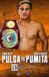 soto-rendon-fight-poster-2020-02-15