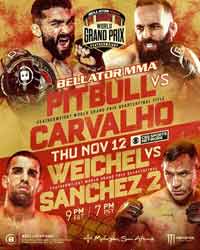 weichel-sanchez-2-full-fight-video-bellator-252-poster