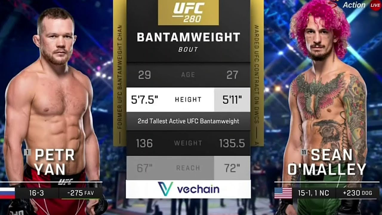 Petr Yan vs Sean O'Malley full fight video UFC 280 highlights