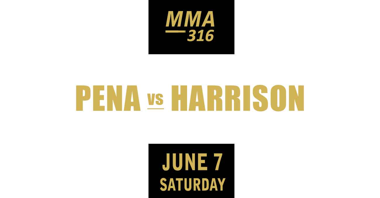 Julianna Pena vs Kayla Harrison full fight video UFC 316 poster by ATBF